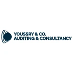 Youssry Auditing logo