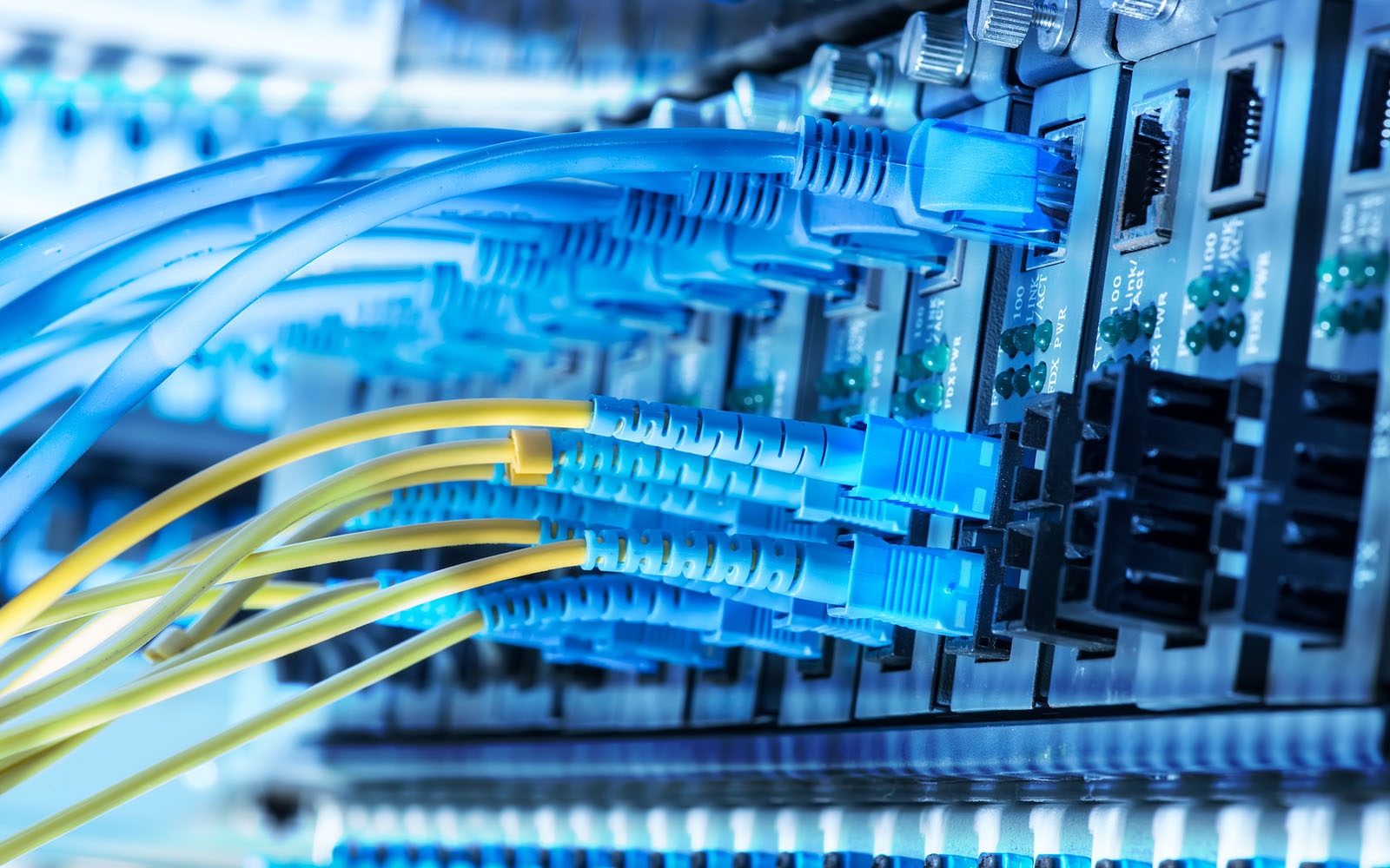 Blue Cat6 and fibre cabling terminated in a structured cabling switch panel